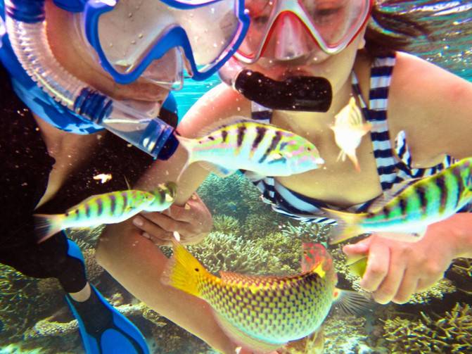 I also became a fish -- snorkeling in vakarufalhi, Maldives