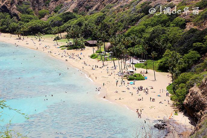 [Hawaii] indulge in warm sea breeze, take parents to drive on Oahu Island (East Coast + North Coast + Pearl Harbor)
